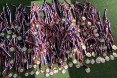 vg-limaci-medalje